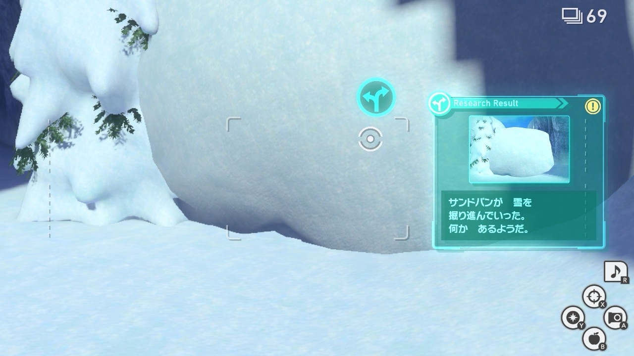 Newポケモンスナップ_雪原分岐6